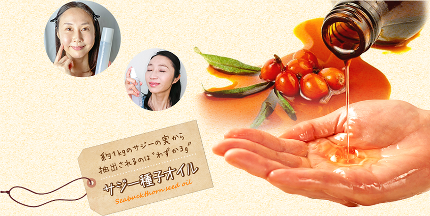 PC用バナー