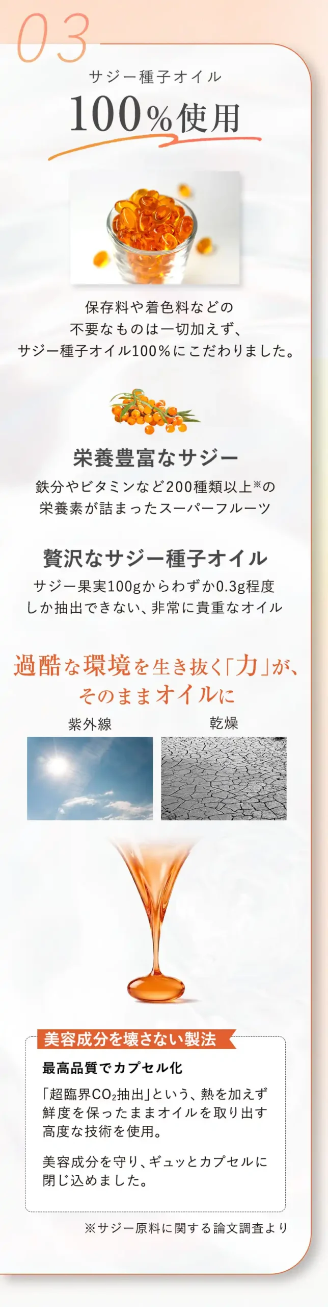 PC用バナー