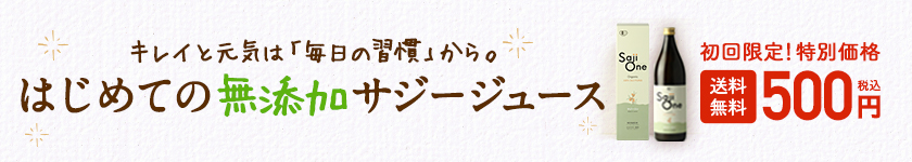 PC用バナー