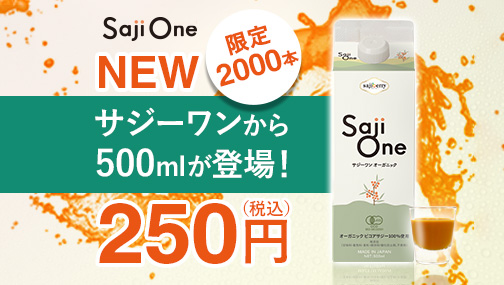 【250円で！】2000名様限定♪お得に始められる！