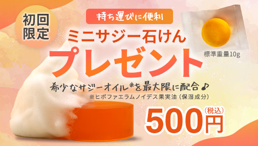 【初回限定♪】ミニサジー石けん付きでお得に始められる！