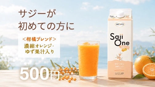【レシピ集付】サジーワン＜柑橘ブレンド＞が500円で始められる！