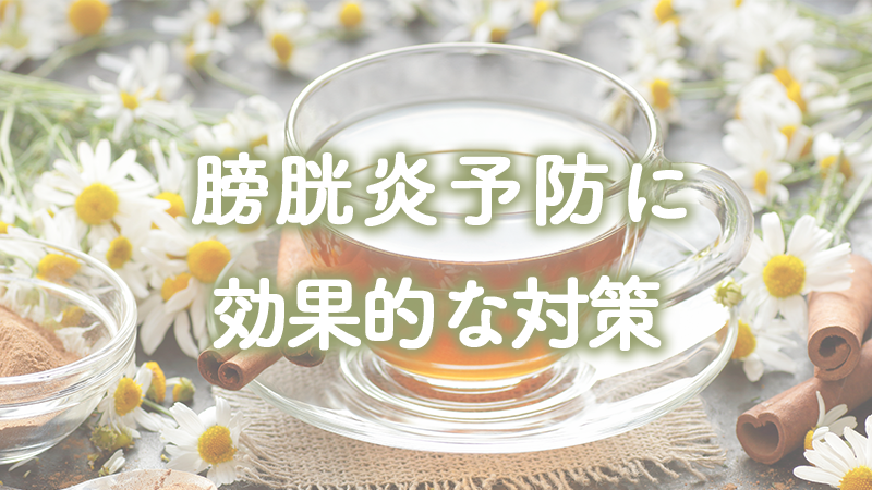 膀胱炎予防に効果的な対策