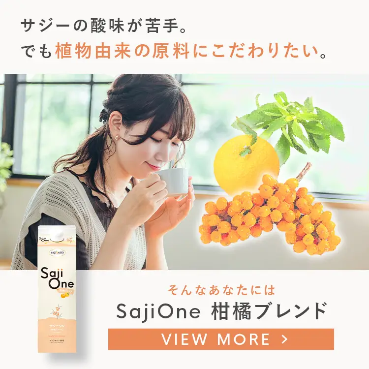 スマホ用スライド